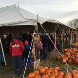 Fun Farm Pumpkin Patch photo