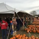 Fun Farm Pumpkin Patch photo