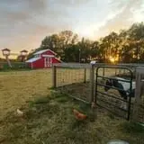 Fun Farm Pumpkin Patch photo