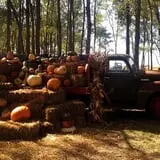 Fun Farm Pumpkin Patch photo
