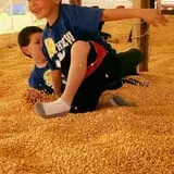 Fun Farm Pumpkin Patch photo