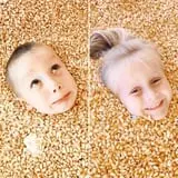 Fun Farm Pumpkin Patch photo