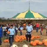Fun Farm Pumpkin Patch photo