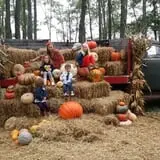 Fun Farm Pumpkin Patch photo