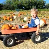 Fun Farm Pumpkin Patch photo