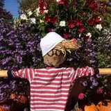 Boyert's Greenhouse & Farm photo
