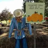 Boyert's Greenhouse & Farm photo