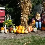 Boyert's Greenhouse & Farm photo