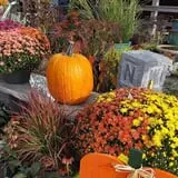 Boyert's Greenhouse & Farm photo