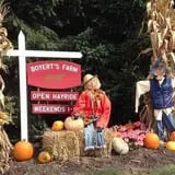 Boyert's Greenhouse & Farm photo