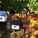 Boyert's Greenhouse & Farm photo