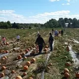 Boyert's Greenhouse & Farm photo