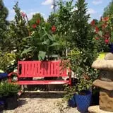 Boyert's Greenhouse & Farm photo