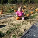 Boyert's Greenhouse & Farm photo