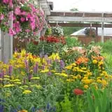 Boyert's Greenhouse & Farm photo
