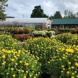 Boyert's Greenhouse & Farm photo