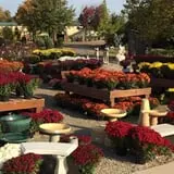 Boyert's Greenhouse & Farm photo
