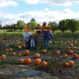 Boyert's Greenhouse & Farm photo