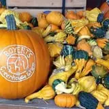 Boyert's Greenhouse & Farm photo