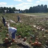 Boyert's Greenhouse & Farm photo