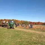 Boyert's Greenhouse & Farm photo