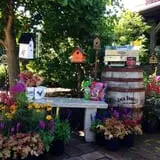 Boyert's Greenhouse & Farm photo