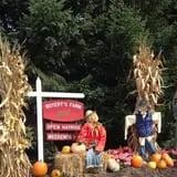Boyert's Greenhouse & Farm photo