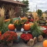 Boyert's Greenhouse & Farm photo