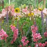 Boyert's Greenhouse & Farm photo