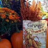 Boyert's Greenhouse & Farm photo