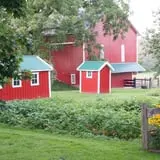 Boyert's Greenhouse & Farm photo
