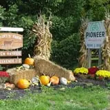 Boyert's Greenhouse & Farm photo
