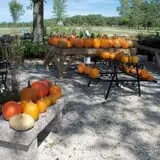 Huffman's Flowers of the Field photo