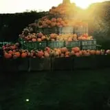 Ricker Hill Orchards photo