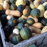 Ricker Hill Orchards photo