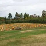 Ricker Hill Orchards photo