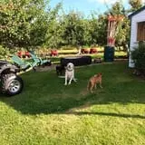 Ricker Hill Orchards photo