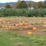Ricker Hill Orchards photo