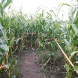 Ricker Hill Orchards photo