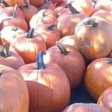 Ricker Hill Orchards photo