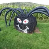 Ricker Hill Orchards photo