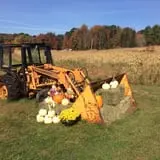 Ricker Hill Orchards photo