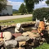 Ricker Hill Orchards photo