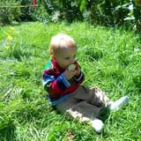 Ricker Hill Orchards photo