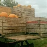 Ricker Hill Orchards photo