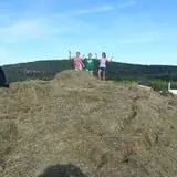 Ricker Hill Orchards photo