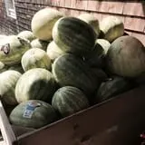 Ricker Hill Orchards photo