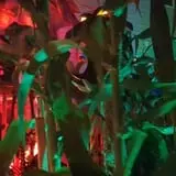 Comet Lodge Haunted Trail photo
