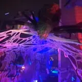 Comet Lodge Haunted Trail photo