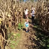 Gentry's Farm Pumpkin Patch & Corn Maze photo